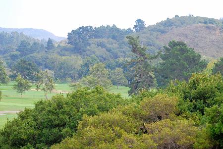 Rancho Canada - East - 9/8/2007
Click for larger image